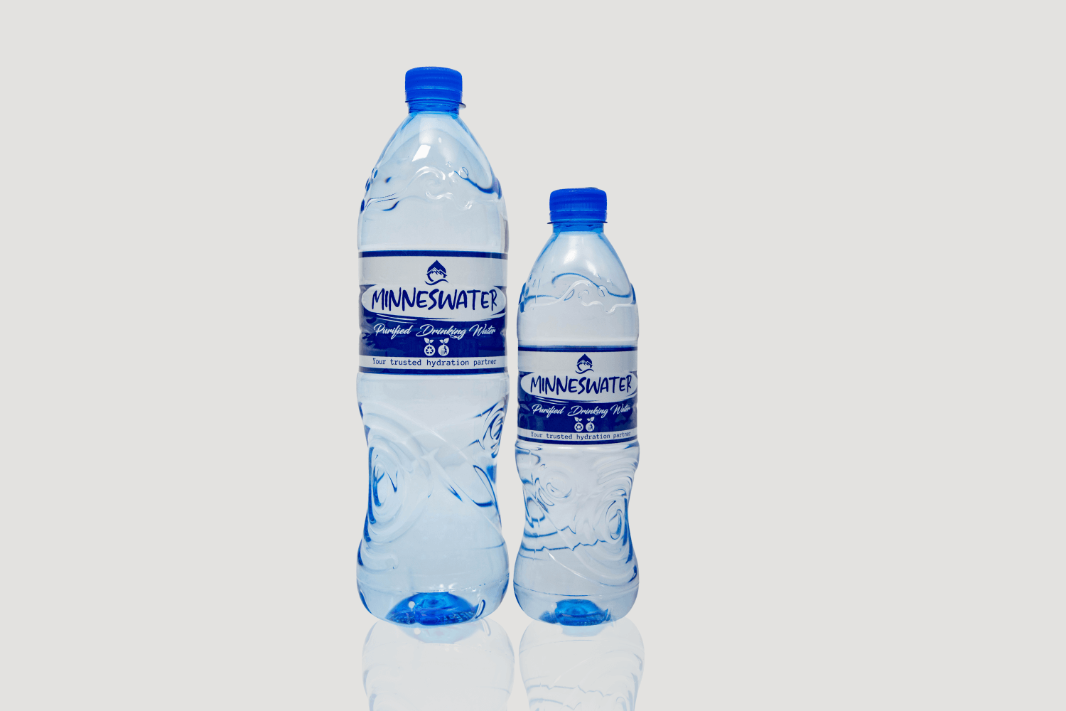 Premium Minneswater bottled water products